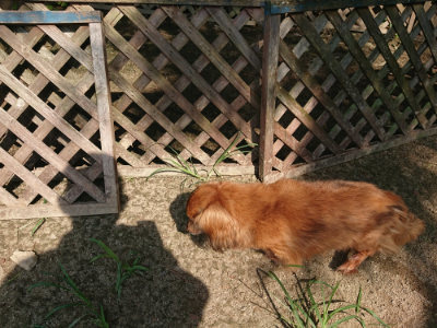 f:id:roukenhome-ann:20190804144244j:plain