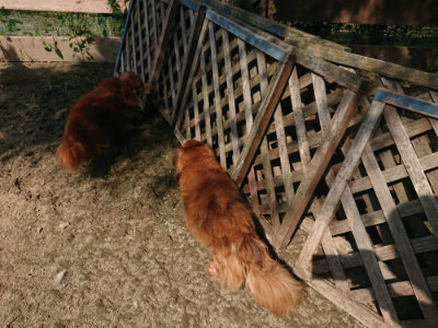 f:id:roukenhome-ann:20190804144333j:plain