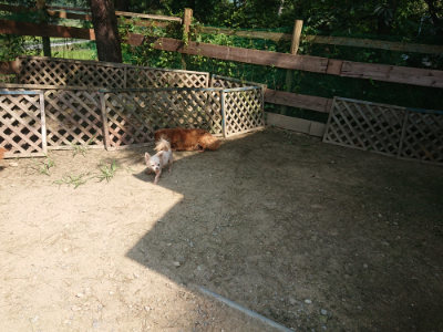 f:id:roukenhome-ann:20190804144350j:plain