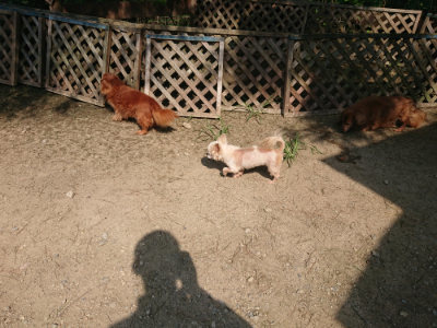 f:id:roukenhome-ann:20190804144404j:plain