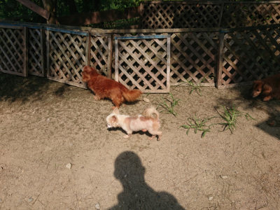 f:id:roukenhome-ann:20190804144415j:plain