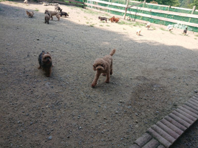 f:id:roukenhome-ann:20190804144422j:plain