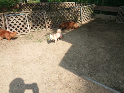 f:id:roukenhome-ann:20190804144427j:plain