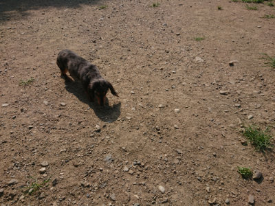 f:id:roukenhome-ann:20190804144450j:plain