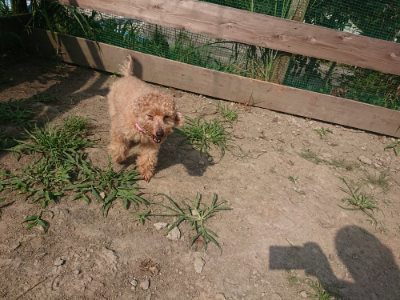 f:id:roukenhome-ann:20190804151929j:plain