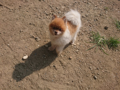 f:id:roukenhome-ann:20190804151935j:plain