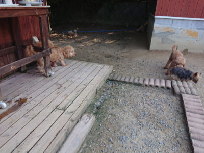 f:id:roukenhome-ann:20190804152006j:plain