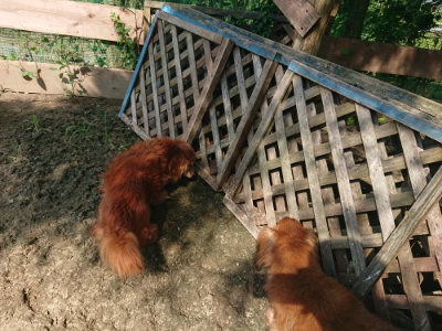 f:id:roukenhome-ann:20190804152019j:plain