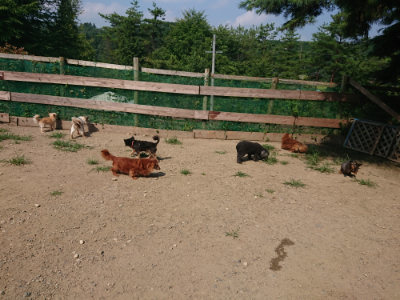 f:id:roukenhome-ann:20190804152124j:plain
