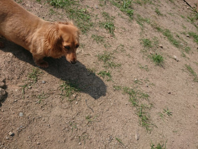 f:id:roukenhome-ann:20190804152143j:plain