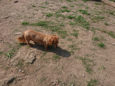 f:id:roukenhome-ann:20190804152208j:plain