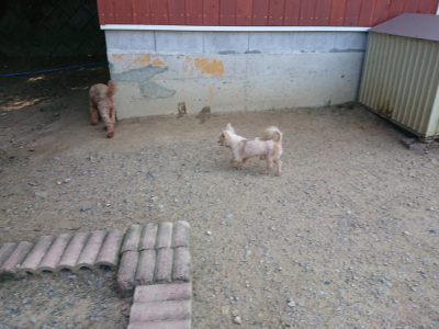 f:id:roukenhome-ann:20190804152219j:plain