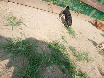 f:id:roukenhome-ann:20190804152242j:plain