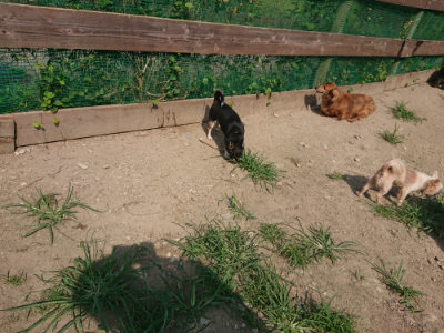 f:id:roukenhome-ann:20190804152249j:plain