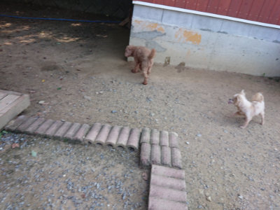 f:id:roukenhome-ann:20190804152303j:plain