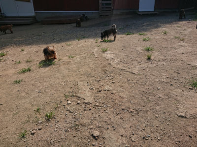 f:id:roukenhome-ann:20190804152310j:plain