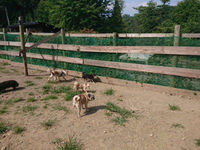 f:id:roukenhome-ann:20190804152319j:plain