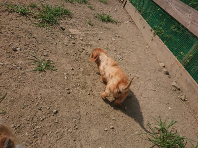 f:id:roukenhome-ann:20190804152355j:plain