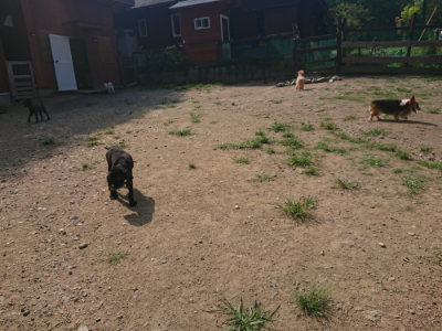 f:id:roukenhome-ann:20190804152400j:plain