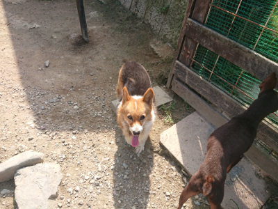 f:id:roukenhome-ann:20190804152457j:plain