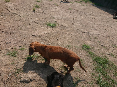 f:id:roukenhome-ann:20190804152512j:plain