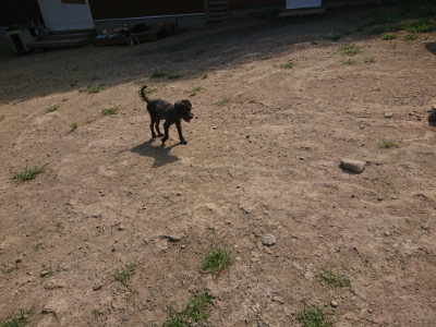 f:id:roukenhome-ann:20190804152520j:plain