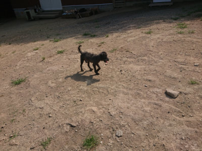f:id:roukenhome-ann:20190804152526j:plain