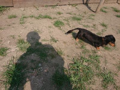 f:id:roukenhome-ann:20190804152540j:plain