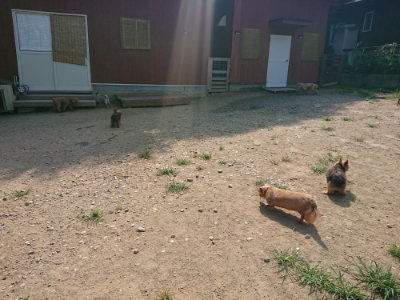 f:id:roukenhome-ann:20190804152545j:plain