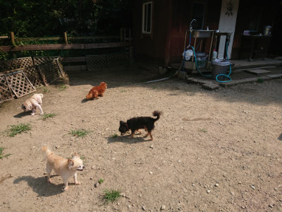 f:id:roukenhome-ann:20190804152604j:plain