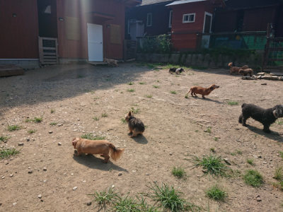 f:id:roukenhome-ann:20190804152609j:plain
