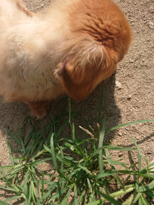 f:id:roukenhome-ann:20190804152615j:plain