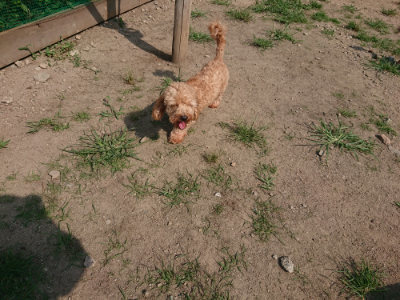 f:id:roukenhome-ann:20190804152629j:plain