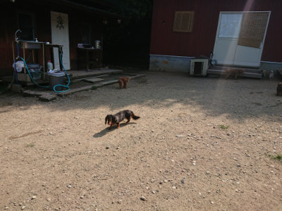 f:id:roukenhome-ann:20190804152633j:plain