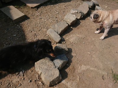f:id:roukenhome-ann:20190804182459j:plain
