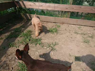 f:id:roukenhome-ann:20190804182612j:plain