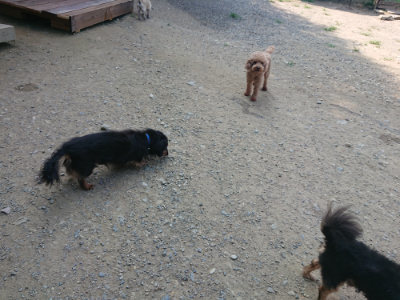 f:id:roukenhome-ann:20190804182630j:plain