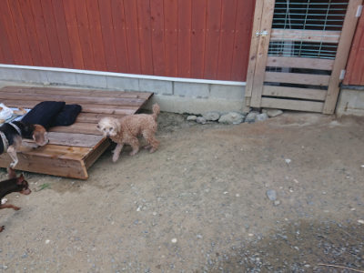 f:id:roukenhome-ann:20190804182636j:plain