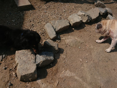 f:id:roukenhome-ann:20190804182658j:plain