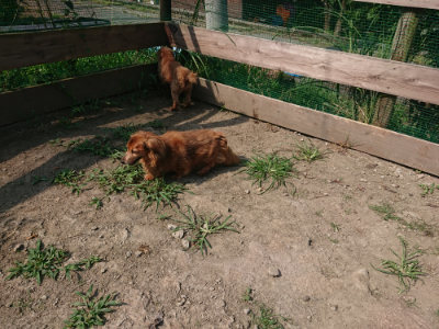 f:id:roukenhome-ann:20190804182706j:plain