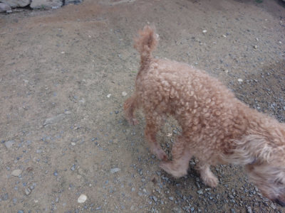 f:id:roukenhome-ann:20190804182757j:plain