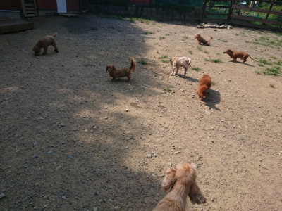 f:id:roukenhome-ann:20190804182803j:plain