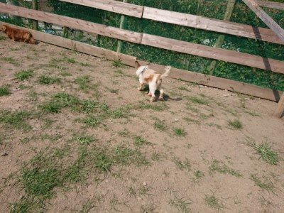 f:id:roukenhome-ann:20190804182818j:plain