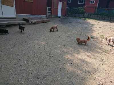 f:id:roukenhome-ann:20190804182824j:plain