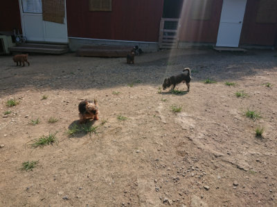 f:id:roukenhome-ann:20190804182833j:plain