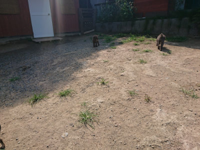 f:id:roukenhome-ann:20190804182840j:plain