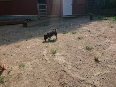 f:id:roukenhome-ann:20190804182908j:plain
