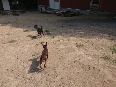 f:id:roukenhome-ann:20190804182937j:plain