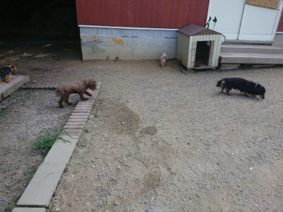 f:id:roukenhome-ann:20190804182942j:plain