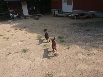 f:id:roukenhome-ann:20190804183003j:plain